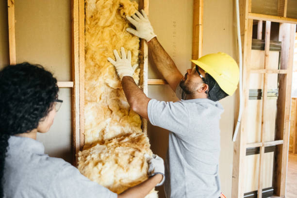 Best Insulation for New Construction  in Fredericksburg, IA